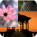 1 Palavra de fotos APK