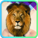 APK FunFace