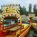 Trajineras de Xochimilco aplikacja