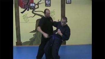 Martial Arts Training capture d'écran 3