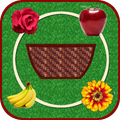 Fruits and Flowers