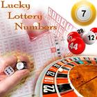 Lucky Lottery Numbers icône