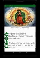 Virgen de Guadalupe 截圖 3