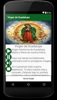 Virgen de Guadalupe Plakat