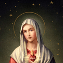 APK Vergine Maria Lwp