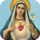 Virgin Mary Wallpaper APK