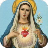 Virgin Mary Wallpaper icône