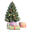 Christmas Tree - Virginia Pine