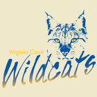 Virginia CE ícone