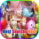 Best Squishy Haul APK