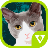 Cats Puzzles آئیکن