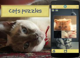 Poster Cats Puzzles