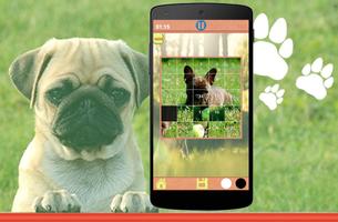 Dogs Puzzles screenshot 1