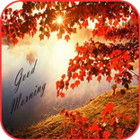 Good Morning Images 2019