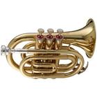 Virtual trumpet icône