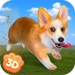 Corgi Dog Life Simulator 3D