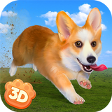 Corgi Dog Life Simulator 3D أيقونة