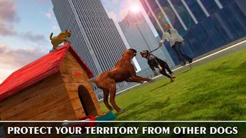 Boxer City Dog Simulator 3D تصوير الشاشة 1