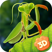 Mantis Insect Life Simulator MOD