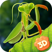 Mantis Insect Life Simulator
