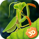 Mantis Insect Life Simulator APK