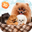 Pomeranian Dog Simulator 3D