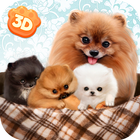 Pomeranian Dog Simulator 3D icône