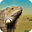 Run Iguana Run