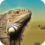 Run Iguana Run biểu tượng