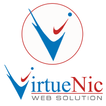 VirtueNic Web Solution