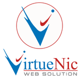 VirtueNic Web Solution icône