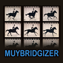 The Muybridgizer APK