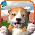 Simulador Dog 2015