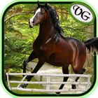 Arabian Horse Jumping icon