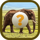 Угадайте животное APK