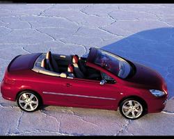 Quebra-cabeças Peugeot 307 imagem de tela 3