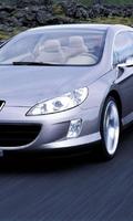 Puzzles Jigsaw Peugeot 407-poster