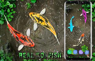 Fish Live Wallpaper Water Background 2018 Affiche