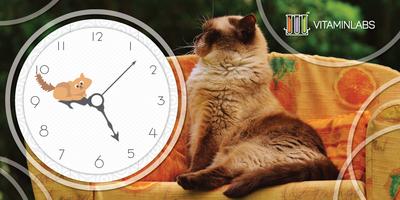 Ginger Cat WatchFace capture d'écran 3