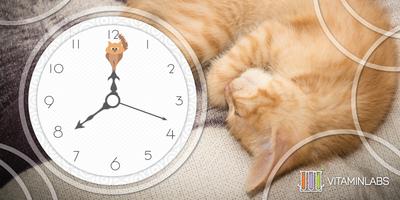 Ginger Cat WatchFace capture d'écran 1