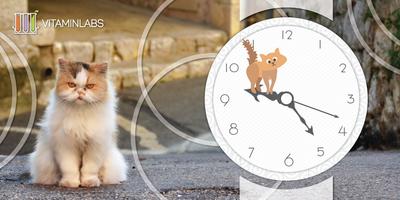 Ginger Cat WatchFace capture d'écran 2