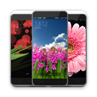 Beauty Flower Theme HD icon