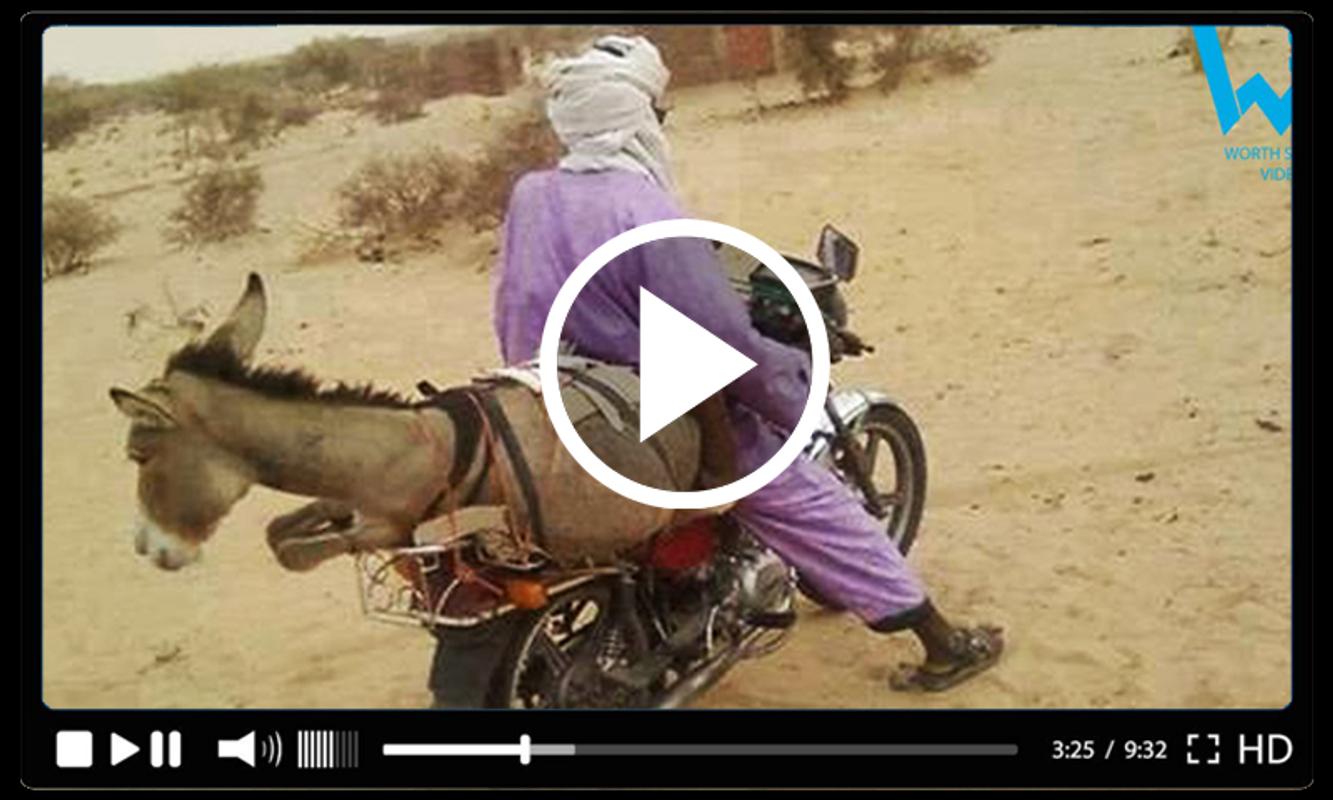 Funny Videos 2018 for Android - APK Download