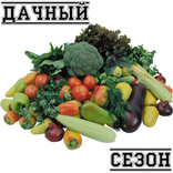 Дачный сезон
