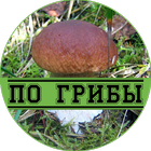 По грибы ikon