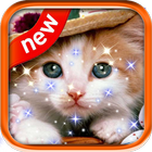 آیکون‌ Cute Cat Live Wallpaper