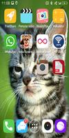 Cute Cat Live Wallpaper ảnh chụp màn hình 3