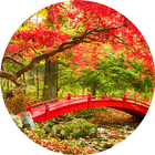 Colors of Autumn Wallpaper 圖標
