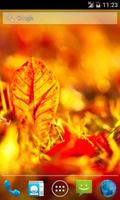 Colors of Autumn Wallpaper 截圖 1