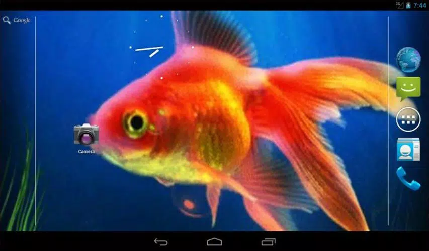 Goldfish Live Wallpaper APK for Android Download Goldfish Live Wallpaper APK for Android Download